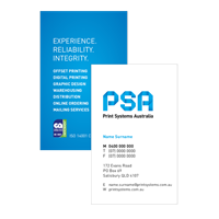 PSA033 - Printsystems Business Cards